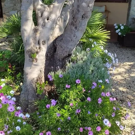 Casa vacanze Larica *